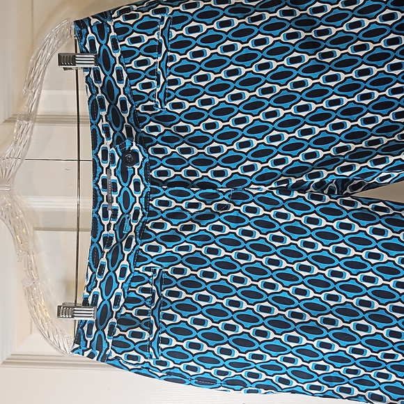 Ann Taylor Womens Signature Fit Lower On-Waist Size 10P - Picture 3 of 12